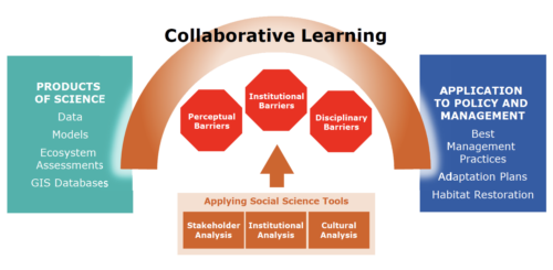 Collaborating learning uses Social Science tools to overcome barriers. Image from Dr. Feurt's workshop presentation.