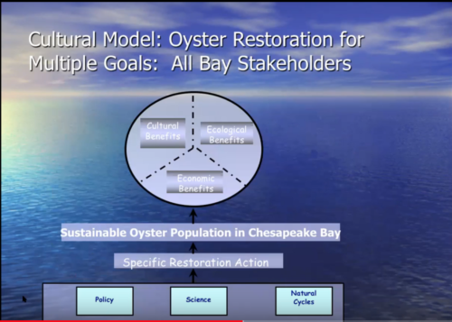 Oyster restoration can result in a trifecta of benefits: cultural, ecological and economic. (Image by Michael Paolisso, adapted from Paolisso and Dery 2010).