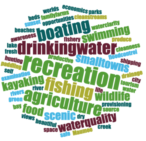 Word cloud generated from key values for Western Lake Erie.