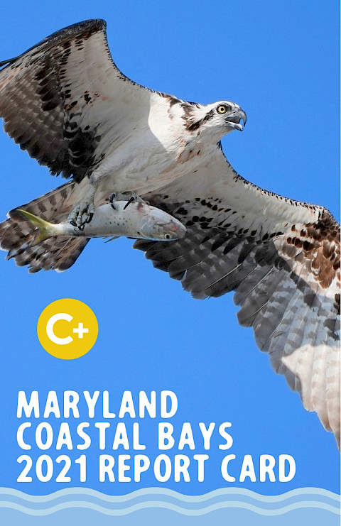 2021 Maryland Coastal Bays Report Card (Page 1)