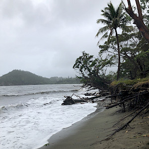 A stormy sea surges up a beach; the land has eroded away from underneath the trees on the shore, and they perch precariously with their roots exposed to the air.