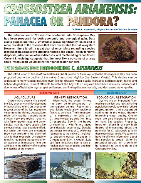 Crassostrea ariakensis: Panacea or Pandora? (Page 1)