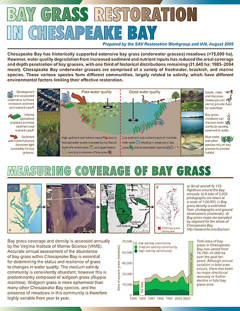 Bay Grass Restoration in Chesapeake Bay (Page 1)