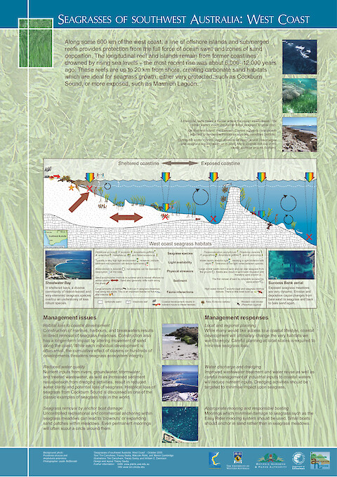 Seagrasses of Southwest Australia: West Coast (Page 1)