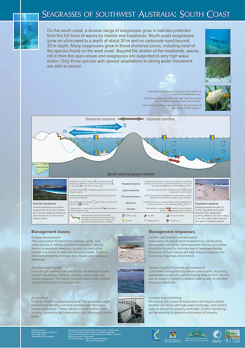 Seagrasses of Southwest Australia: South Coast (Page 1)