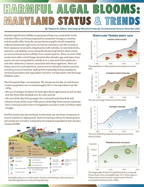 Harmful algal blooms: Maryland status and trends newsletter (Page 1)
