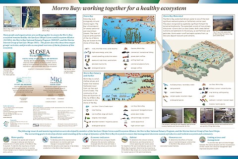 Morro Bay: working together for a healthy ecosystem (Page 1)