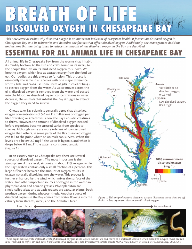 Breath Of Life Dissolved Oxygen In Chesapeake Bay Publications Integration And Application