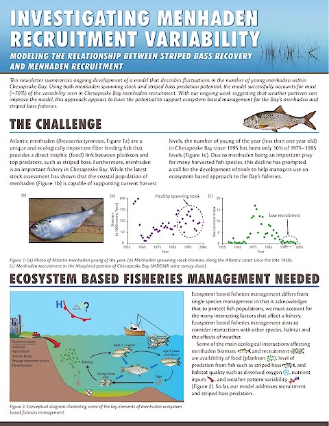 Investigating menhaden recruitment variability: Modeling the relationship between striped bass recovery and menhaden recruitment (Page 1)
