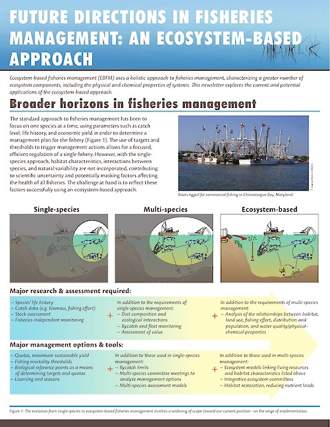 Future directions of fisheries management: An ecosystem-based approach (Page 1)