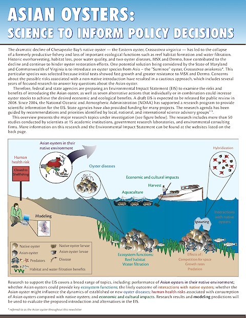 Asian oysters: Science to inform policy decisions (Page 1)