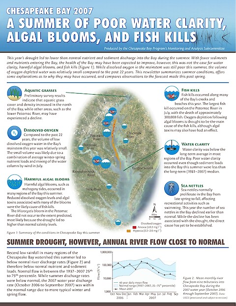 A summer of poor water clarity, algal blooms, and fish kills (Page 1)