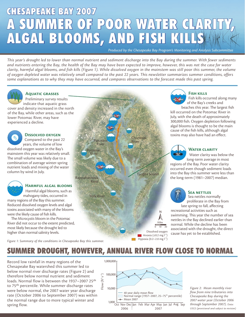 A summer of poor water clarity, algal blooms, and fish kills