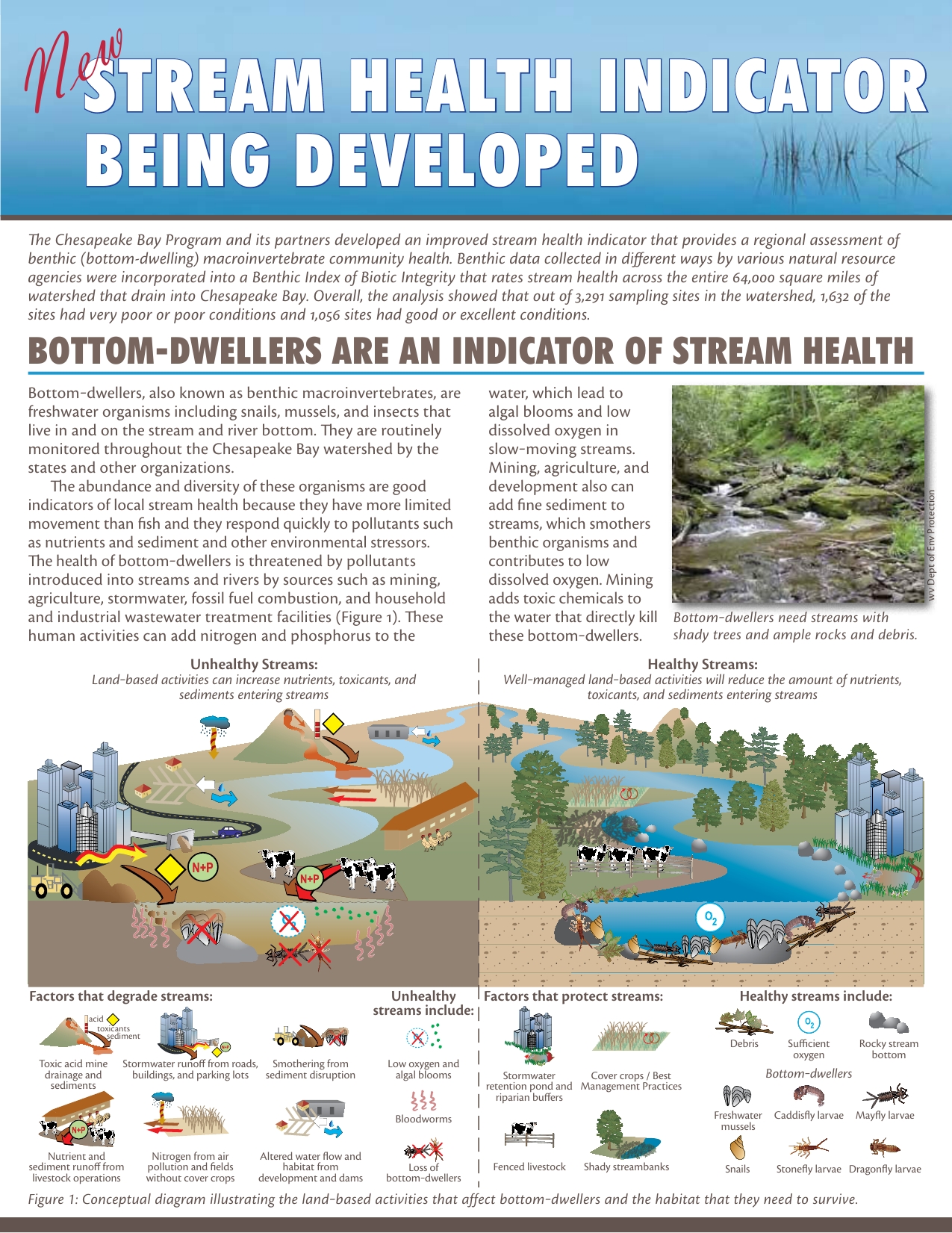 new-stream-health-indicator-being-developed-publications