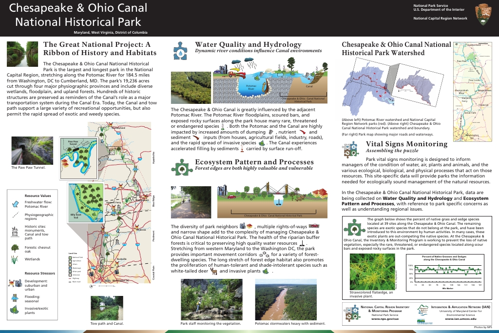 Activity 2: Parts of a Tree - Chesapeake & Ohio Canal National