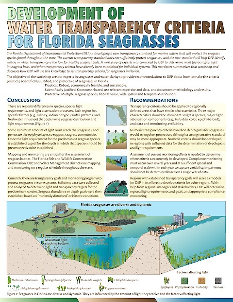 Development of water transparency criteria for Florida seagrasses (Page 1)