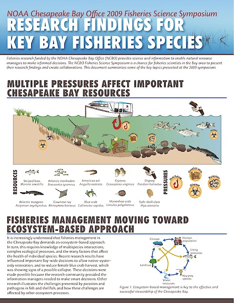 Research findings for key bay fisheries species (Page 1)