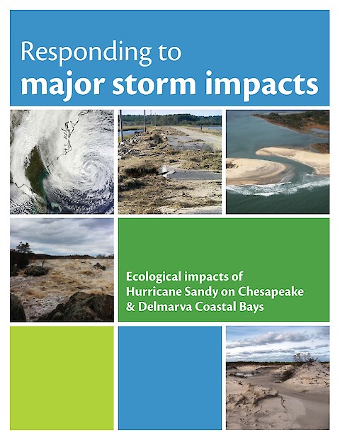 Responding to major storm impacts: ecological impacts of Hurricane Sandy on Chesapeake and Delmarva Coastal Bays (Page 1)