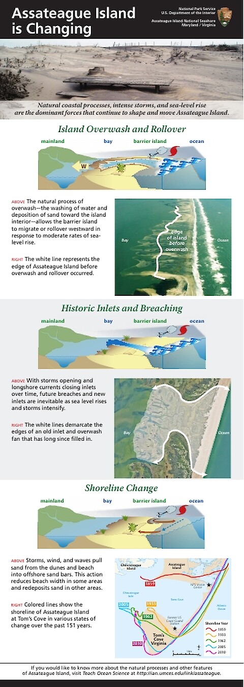 Assateague Island is Changing (Page 1)