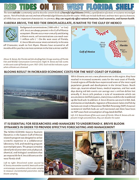 Red Tides on the West Florida Shelf (Page 1)