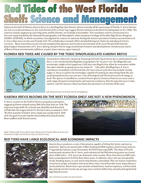 Red Tides of the West Florida Shelf: Science and Management (Page 1)