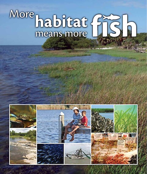 More habitat means more fish (Page 1)