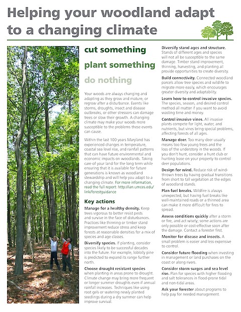 Helping your woodland adapt to a changing climate (Page 1)