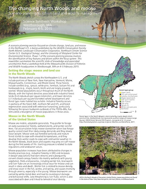 The changing North Woods and moose (Page 1)