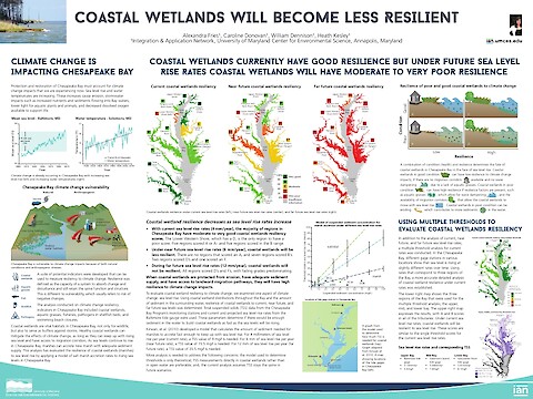 Coastal wetlands will become less resilient (Page 1)
