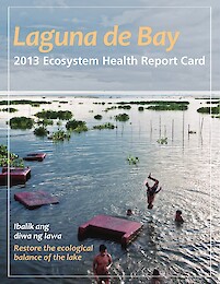 Laguna De Bay: 2013 Ecosystem Health Report Card