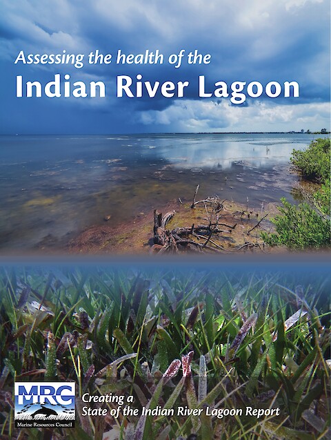 Assessing the health of the Indian River Lagoon (Page 1)