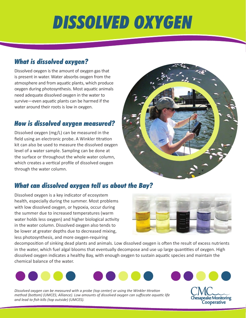 Tidal water quality indicator factsheets Publications Integration
