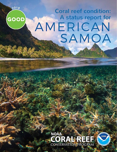 Coral reef condition: A status report for American Samoa (Page 1)