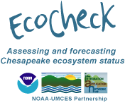 EcoCheck Logo