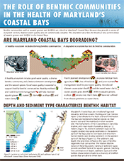 Coastal Bays Newsletter