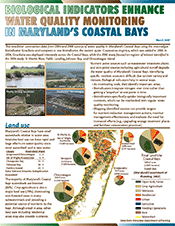Coastal Bays Bioindicators newsletter