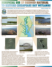 Wetlands Newsletter