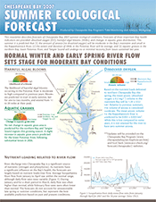 2007 Chesapeake Bay summer forecast newsletter