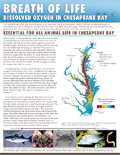 Breath of life: Dissolved oxygen in Chesapeake Bay | Enewsletter ...