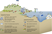 Conceptual diagram of coastal zone impacts