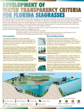 Florida newsletter