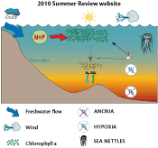 Summer review diagram