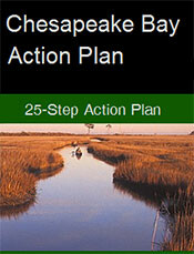 Bay Action Plan blog