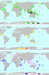 Seagrass distribution maps