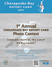 2011 Photo Contest