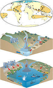 Coastal hotspots, river syndromes, and coastal syndromes