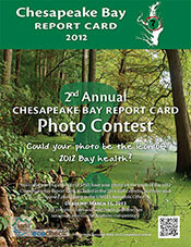 Photo competition flyer