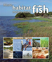 More Habitats, More Fish cover