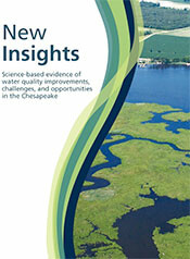New Insights report cover
