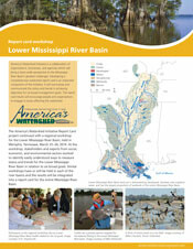 Lower Mississippi River Basin newsletter